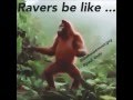 Orangutan Festival Dance (Ravers Be Like ...