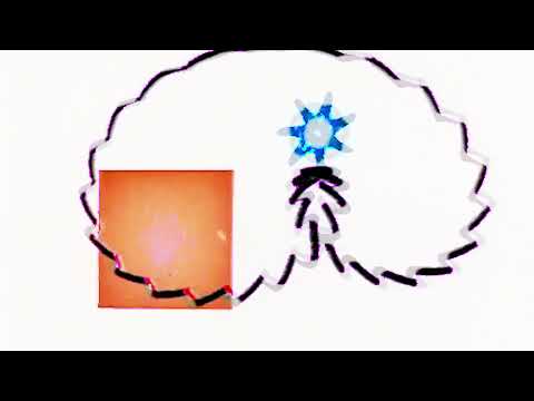 THE COLD VEIN -  silhouettes and shadows [visualizer]