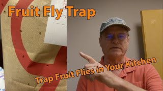 A Fruit Fly Trap DIY, How to get rid of Fruit Flies in Your Kitchen.