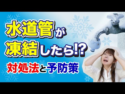 プールの水の凍結を防ぐにはどうすればいいですか？晴れの日を待つ間の2つの簡単な解決策!  庭園