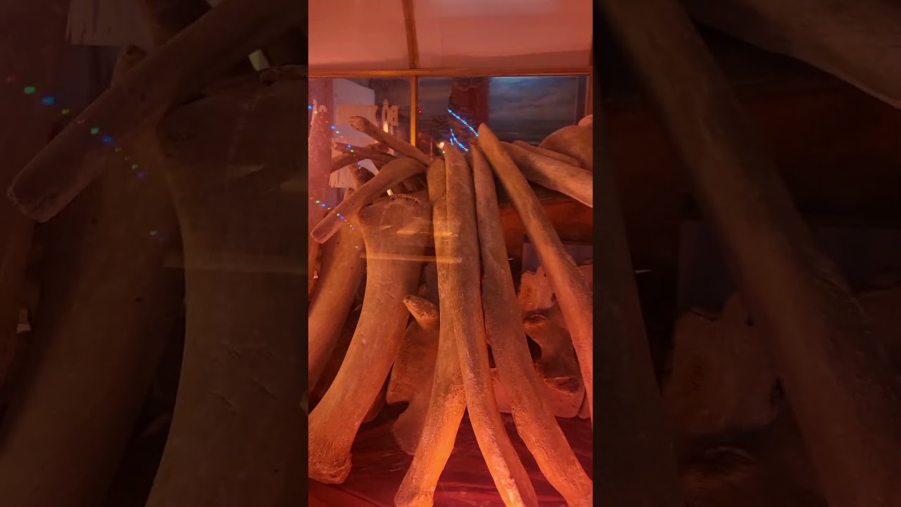 YouTube Short thumbnail