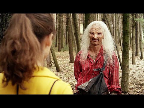 Pânico na floresta 