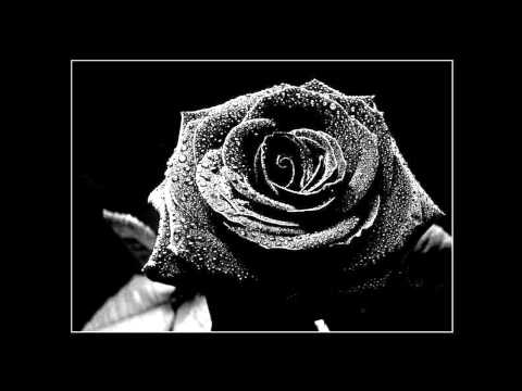 [HD] Matt Darey pres. Urban Astronauts - Black Flowers (Josh Gabriel Remix)