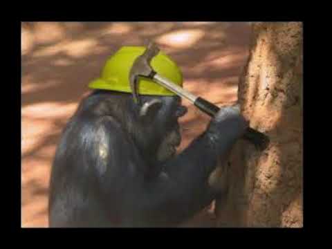 KIEPSON- maupa wiertara