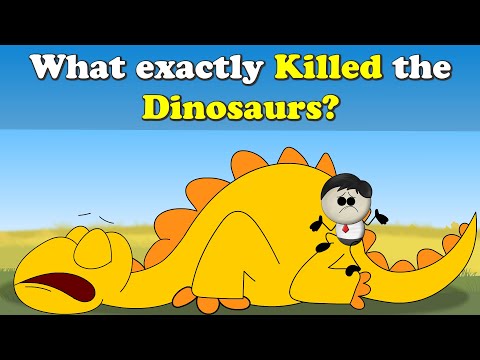 What exactly killed the Dinosaurs? | #aumsum