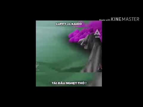 Tái Đấu Luffy vs KaiDo. Ráp về kaiDo. Phạm Ann.