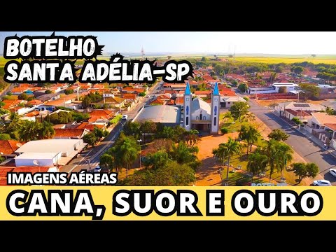 BOTELHO: A FORÇA DA CANA EM SANTA ADÉLIA-SP
