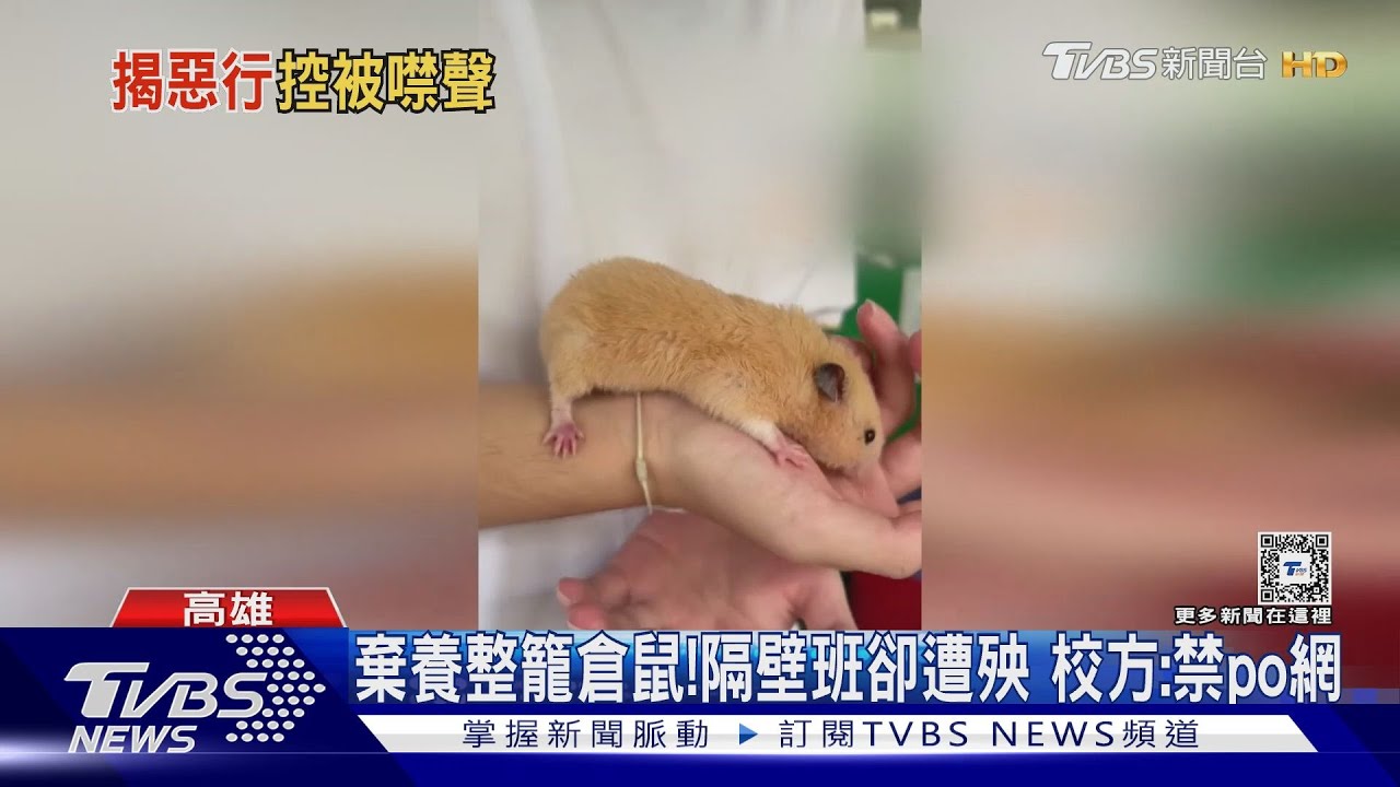棄養整籠倉鼠!隔壁班卻遭殃 校方:禁po網