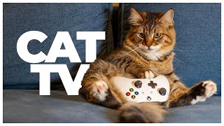 Cat TV 🐱🐦 | Relaxing Bird Watching & Nature Video for Cats | Cat Enrichment