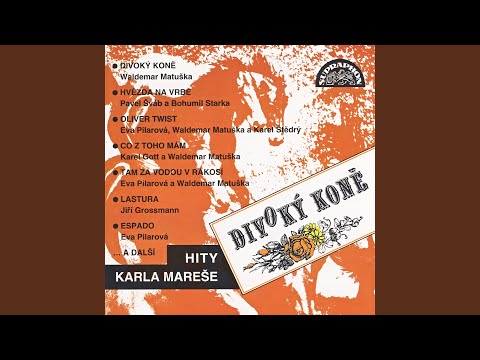 Lyrická ze středních Čech