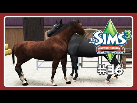Alte Liebe rostet nicht! - Lets Play Die Sims 3 Einfach Tierisch Part 36
