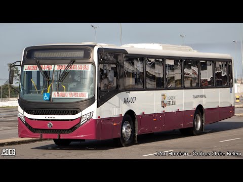 Caio Apache Vip V - Volkswagen 17.230/S Euro VI | Transportadora Arsenal | AA-007