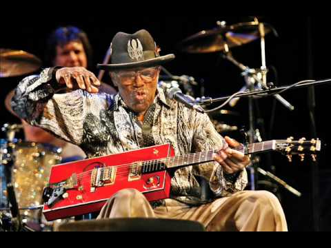 Bo Diddley - Love her madly (Tribute to The Doors)