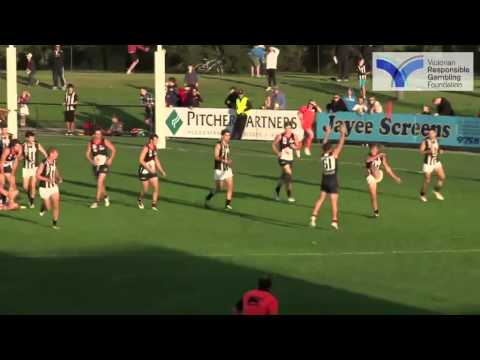 VFL: Tim Broomhead highlights