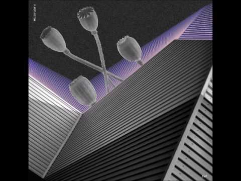 [snippets] MFLOW4 - Z@p - Sonic Utopia EP