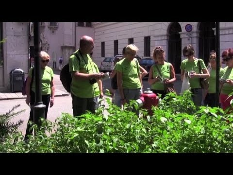 Emozionanti rimedi popolari per le donne Coda di volpe patogeno femminile