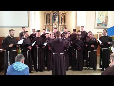 Franjevački bogoslovi - Misao svijeta