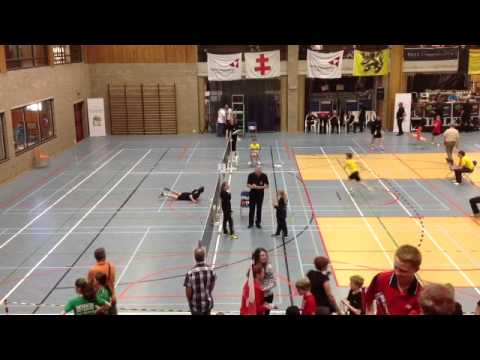 Houthoofd - Taildeman (een duikje)