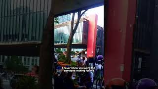 Download lagu Ed Sheeran #cover Perfect #cantor #singer #voiceandguitar #brazil #talent #busking  #livemusic #reel mp3