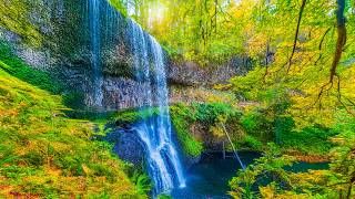 Stand Behind a Waterfall in 8K VR 360° | Lower South Falls Oregon (Real Relaxing Water Sounds)
