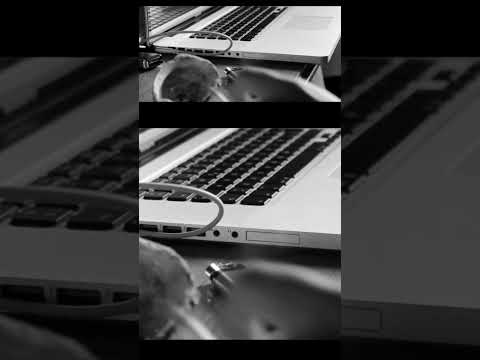 OLD SERIOUS 🔥 AKA DÍ ALÍ 🇨🇱