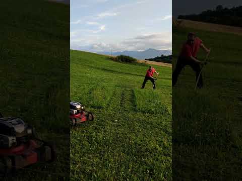 Lawn Mower versus My Scythe
