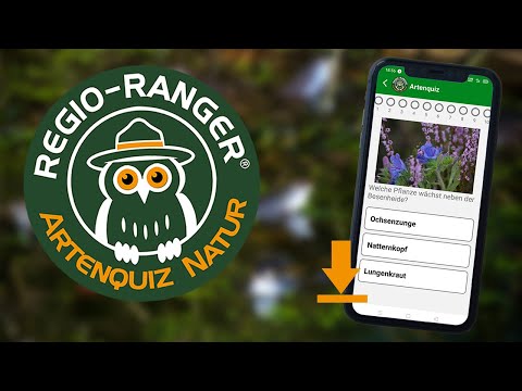 Artenquiz