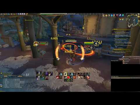 Arms Warrior Ravager Burst