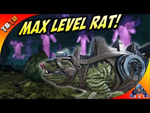 ROLL RATS ARE OP! MAX LEVEL ROLL RAT TAMING AND BREEDING! Ark Aberration DLC Gameplay E8
