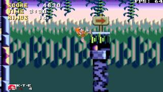 Test Team Girls Exotic Paradise