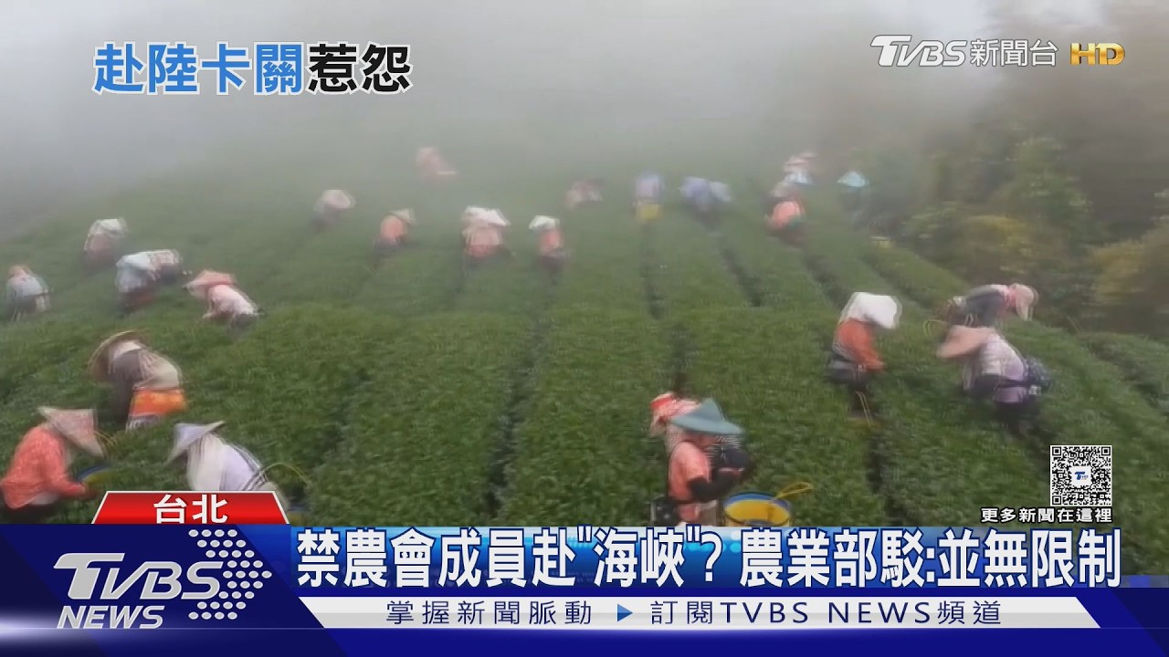 影音／再釋利多！　海峽論壇後　陸擬放寬台「4縣市」農產品輸入