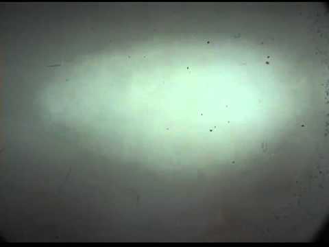 Cameracar che rischio!!!! Cresci Nencioli 27' RALLY DI MONTECATINI TERME E VALDINIEVOLE 2011