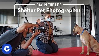 A Day in the Life of a Shelter Pet Photographer | Chewy