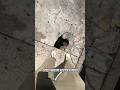 We Went Into Tunnels Under A NYC Sidewalk