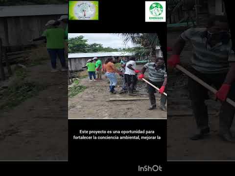 Manejo Ambiental