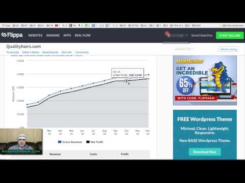 SCAMS on Flippa - How to avoid Fake/Scam websites and sellers