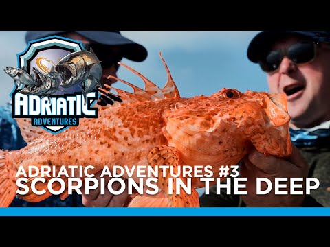 Adriatic Adventures #3 - Scorpions in the deep - crazy underwater attacks on Water Wolf camera