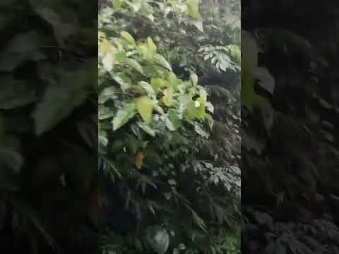 #cute #hashtags #depressed