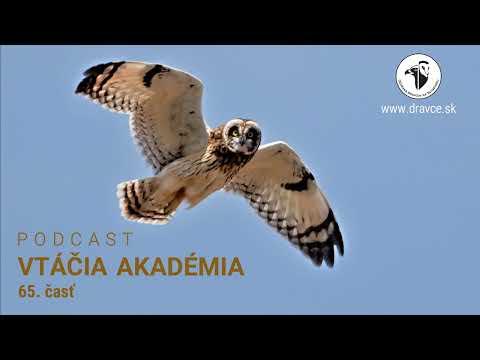 Vtáčia akadémia: Bol Ivan Mládek s piesňou 