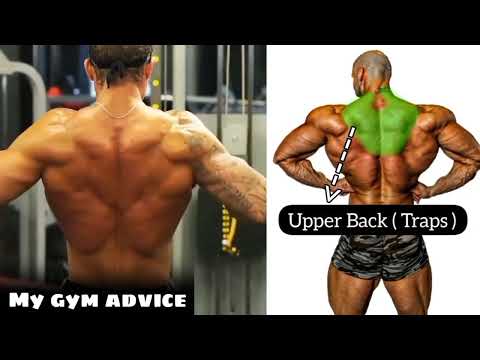 top 4 upper middle and lower back workout -back