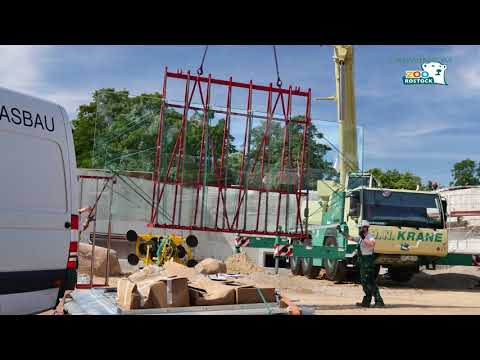 Zoo Rostock | Einbau der Sichtscheiben im Polarium
