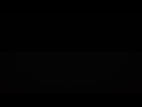 Egon Kowalski schlachtet mutwillig eine Dame und ihre Kollegs