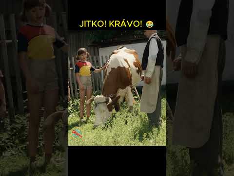 Jak se jmenuje ta kráva? 😂 Na samotě u lesa (1976)