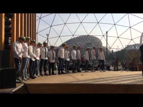 Pagliette del Buzzi Expo Milano 2015