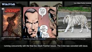 Black Panther (comics) - WikiVidi Documentary