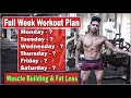 Full Week Gym Workout Plan for Muscle Building & Fat Loss | Bodybuilding