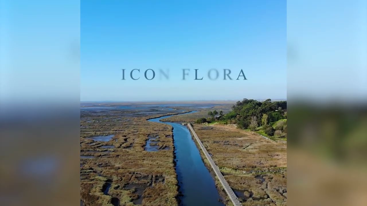 Vídeo do imóvel