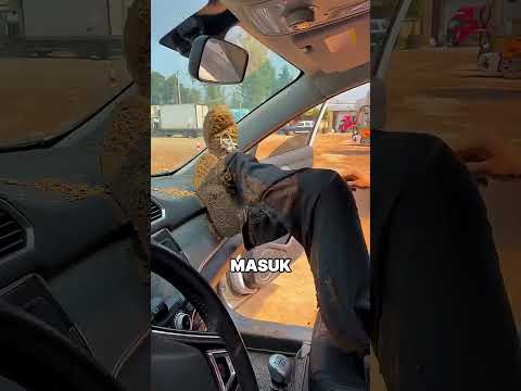 Sahabatnya Beli Mobil Baru, Reaksinya Gak Masuk Akal!