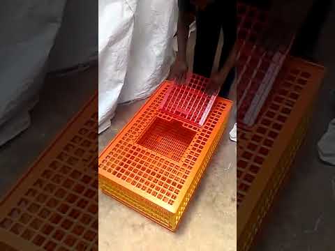 Red Chicken Transport Box