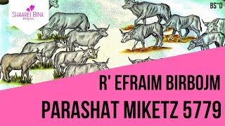 Parashat Mikets